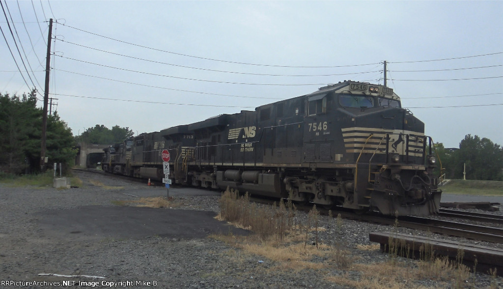 NS 7546